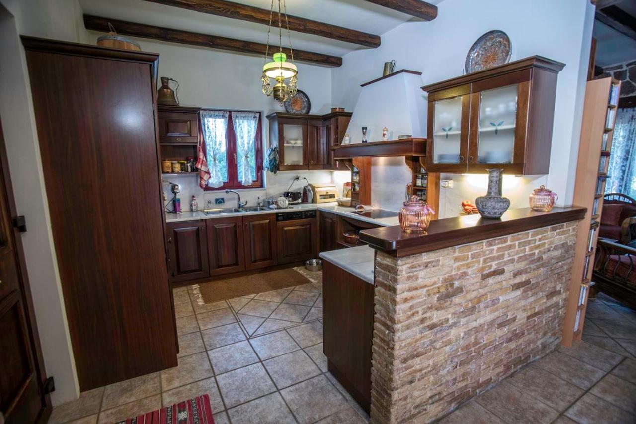 Villa Galaxidi Mansion Extérieur photo